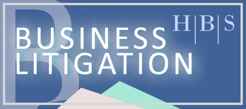 Business Litigation Attorney at Hall Booth Smith Law Firm