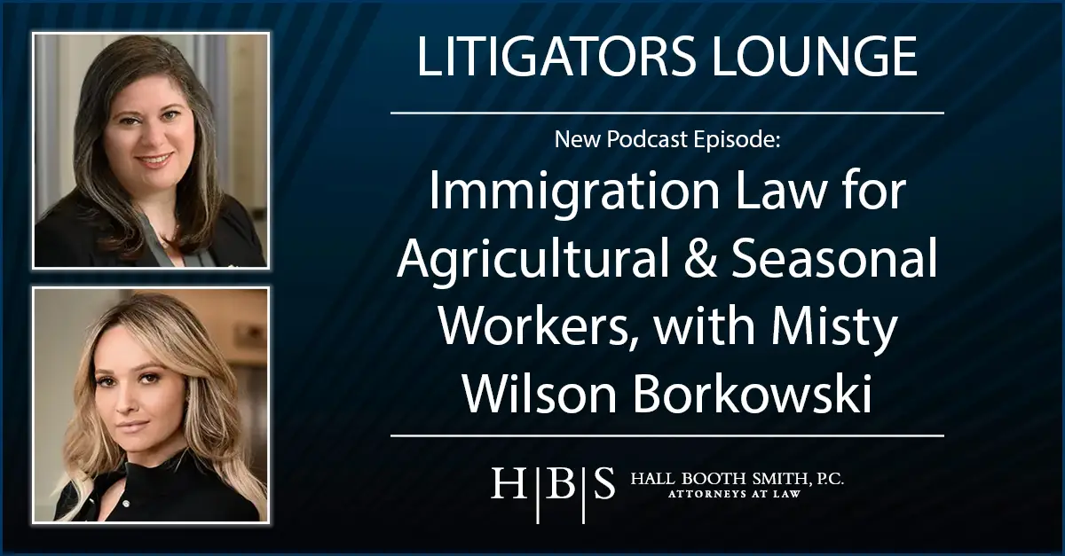 Litigators Lounge Immigration Law Seasonal